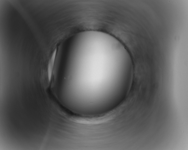 X0000089870017200707121802