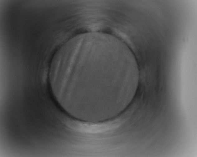 X0000089870018200707121802