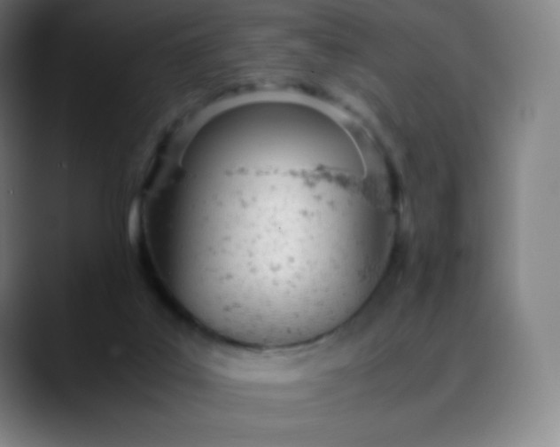 X0000089870019200707121802