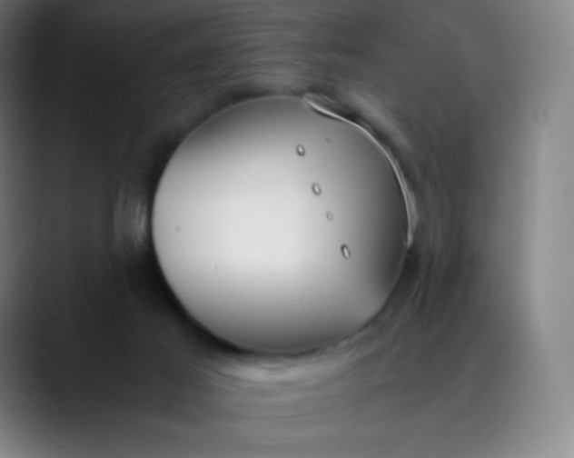 X0000089870021200707121802