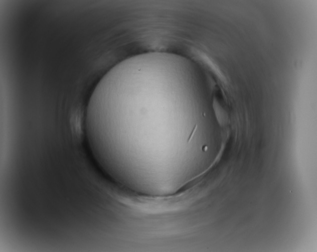 X0000089870023200707121802