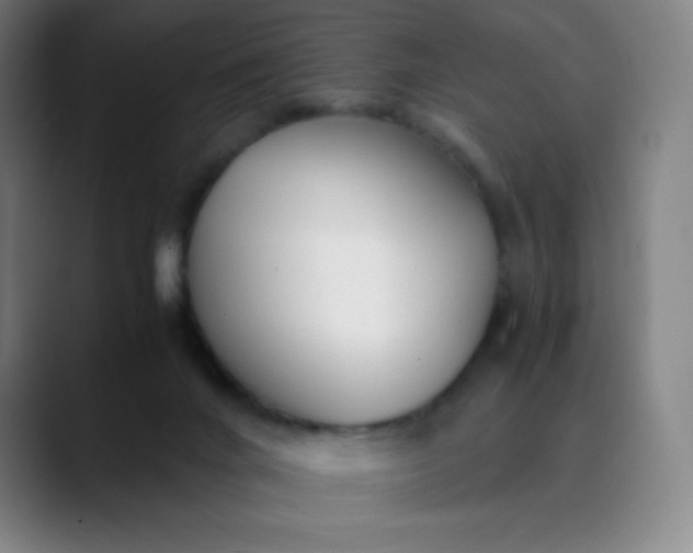 X0000089870024200707121802