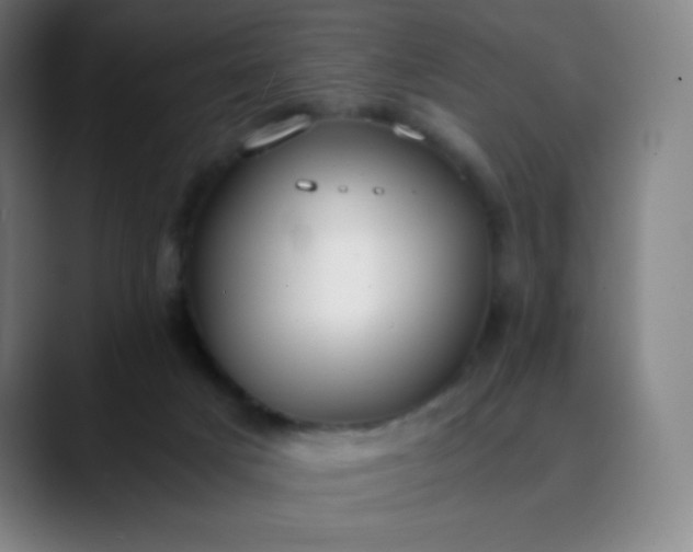 X0000089870025200707121802