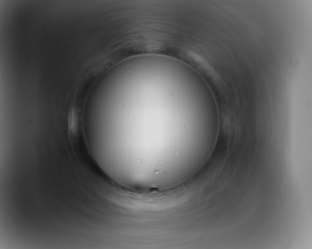 X0000089870026200707121802