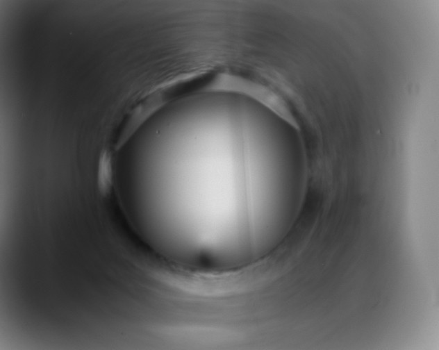 X0000089870027200707121802