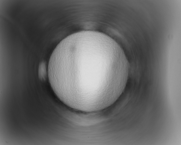 X0000089870028200707121802