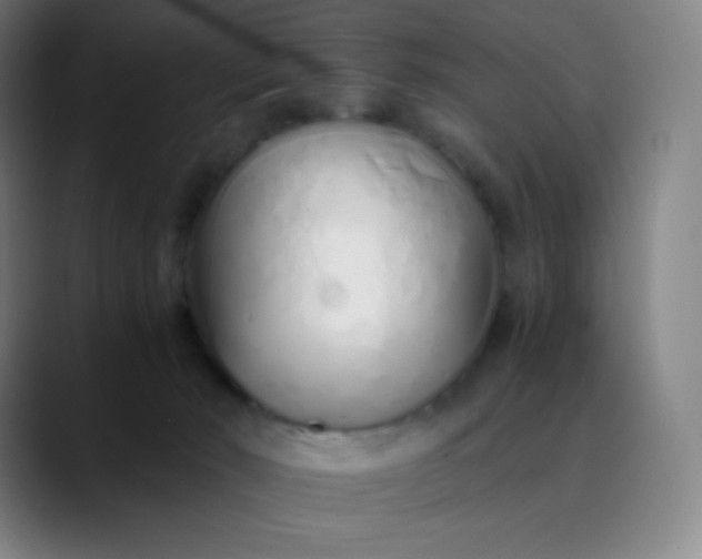 X0000089870030200707121802