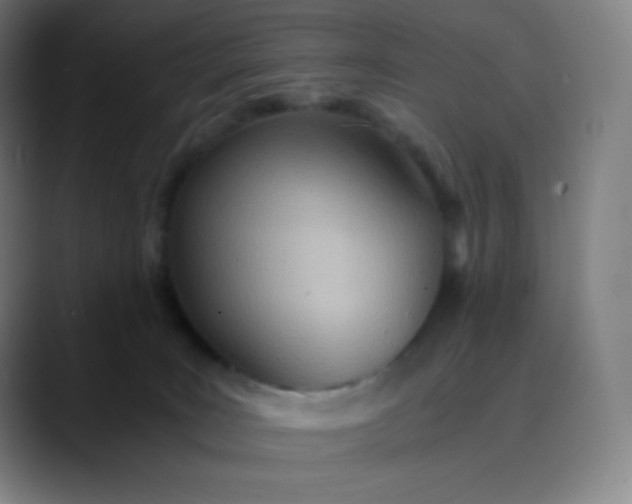 X0000089870035200707121802