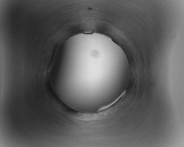 X0000089870037200707121802