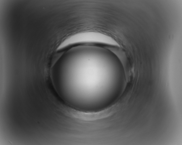 X0000089870039200707121802