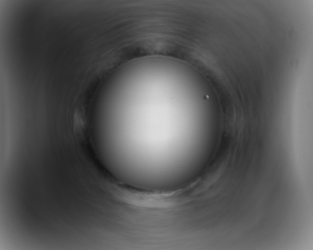 X0000089870040200707121802