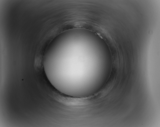 X0000089870044200707121802