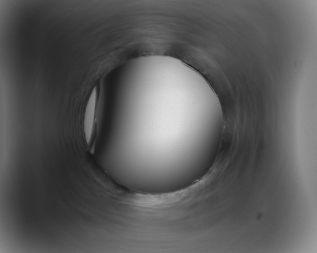 X0000089870045200707121802