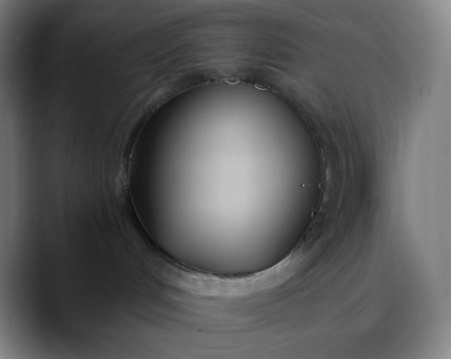 X0000089870048200707121802