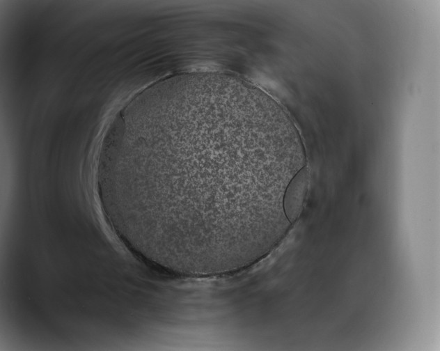 X0000089870049200707121801