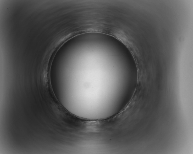 X0000089870050200707121801