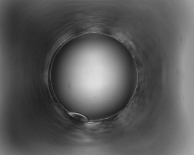 X0000089870051200707121801