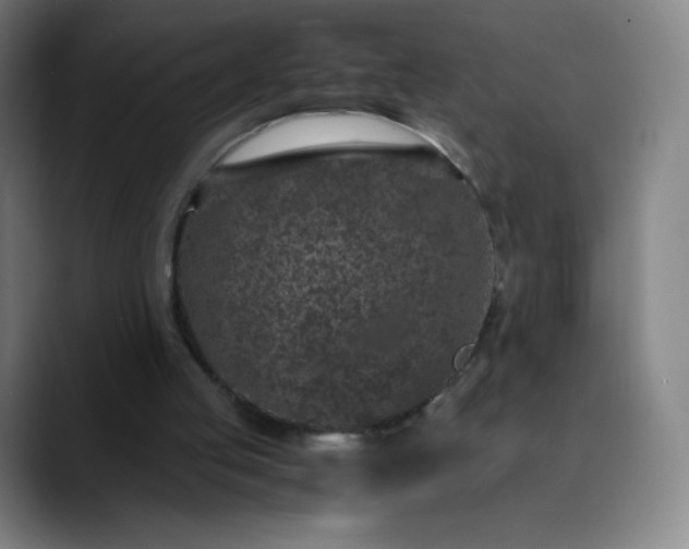 X0000089870053200707121801