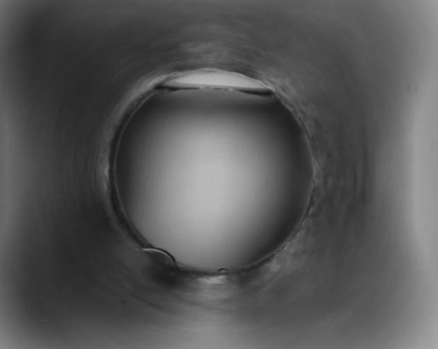 X0000089870054200707121801