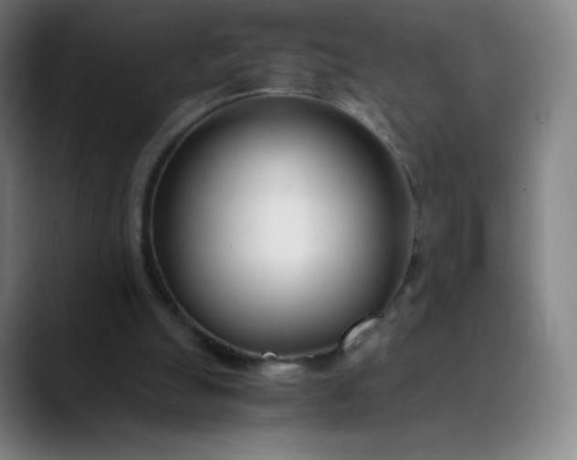 X0000089870055200707121801