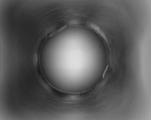 X0000089870057200707121801