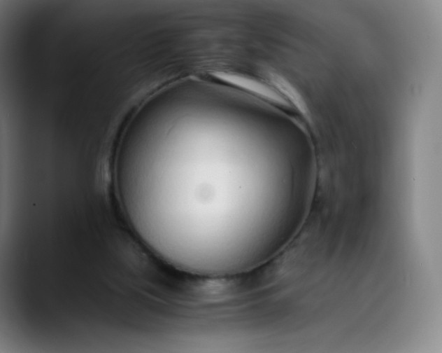 X0000089870059200707121802