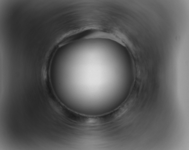 X0000089870060200707121802