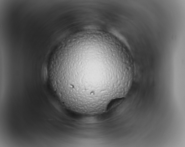 X0000089870061200707121802