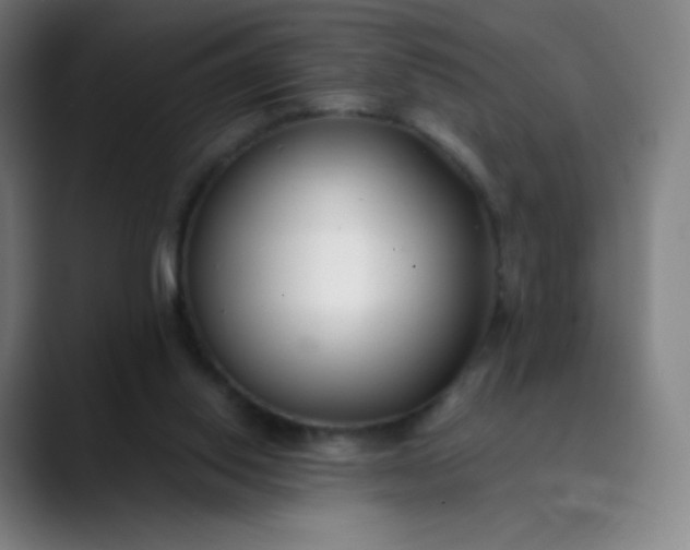 X0000089870062200707121802