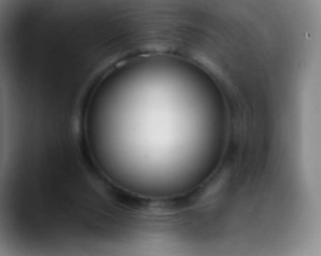 X0000089870064200707121802