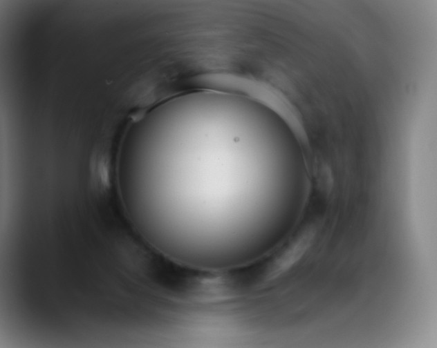 X0000089870068200707121802