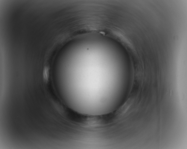 X0000089870070200707121802