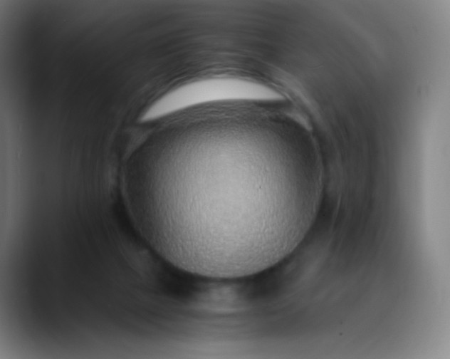 X0000089870073200707121802