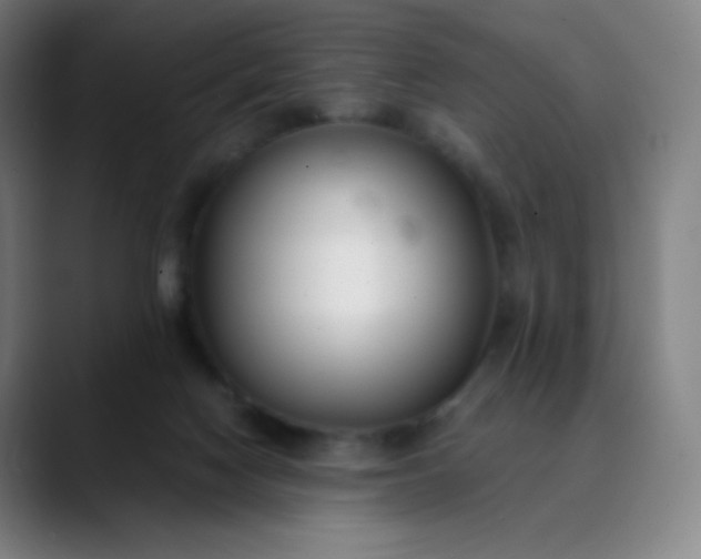 X0000089870074200707121802