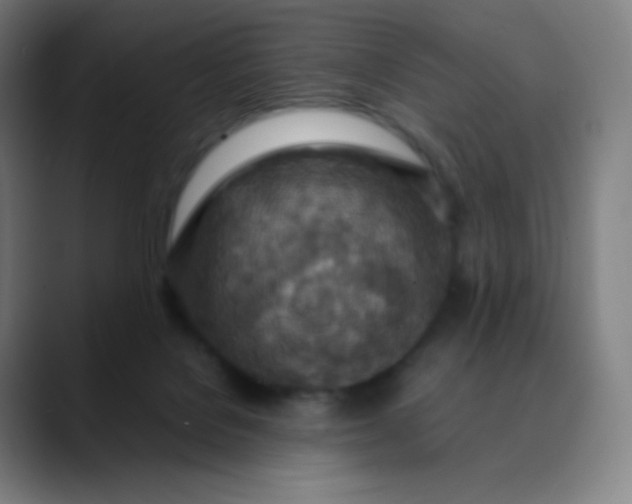 X0000089870076200707121802