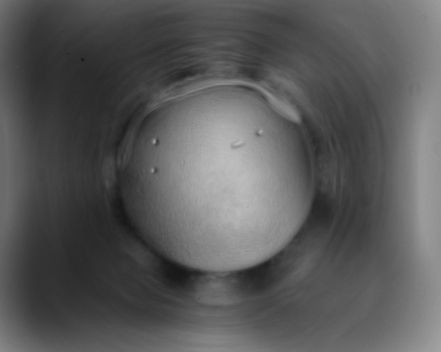 X0000089870077200707121802