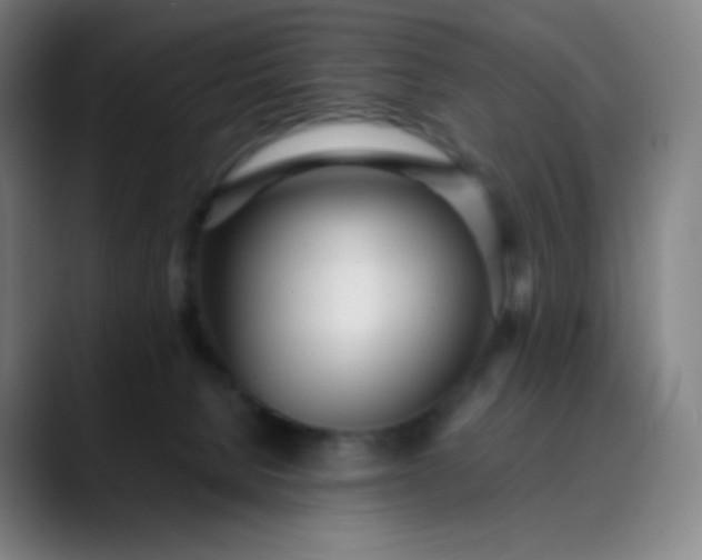 X0000089870080200707121802