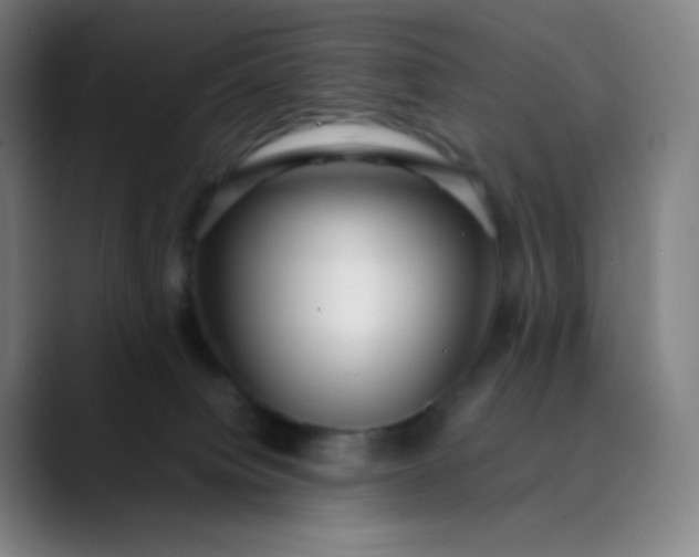 X0000089870084200707121802