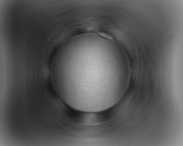 X0000089870085200707121802