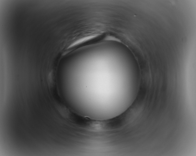 X0000089870088200707121802