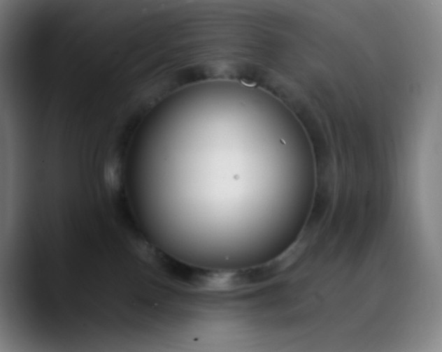 X0000089870090200707121802