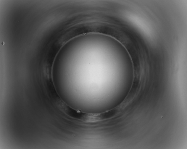 X0000089870093200707121802