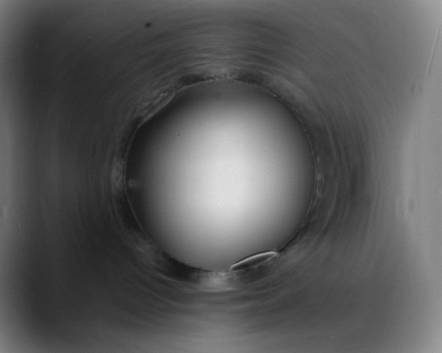 X0000089870096200707121802