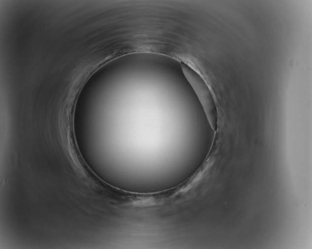 X0000089870097200707121801