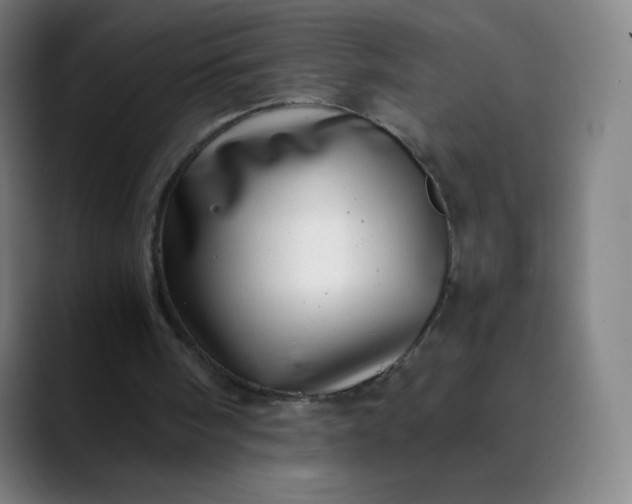 X0000089870098200707121801