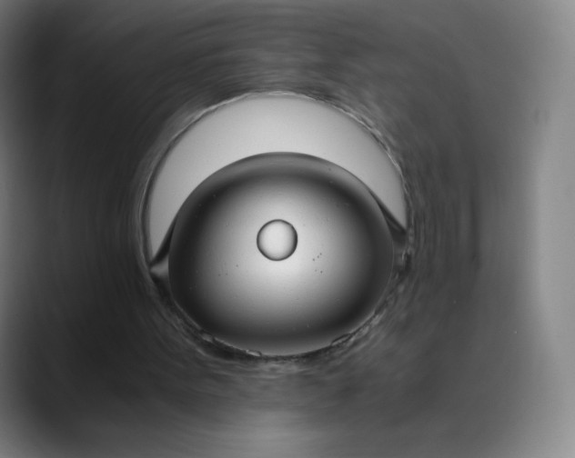 X0000089870099200707121801