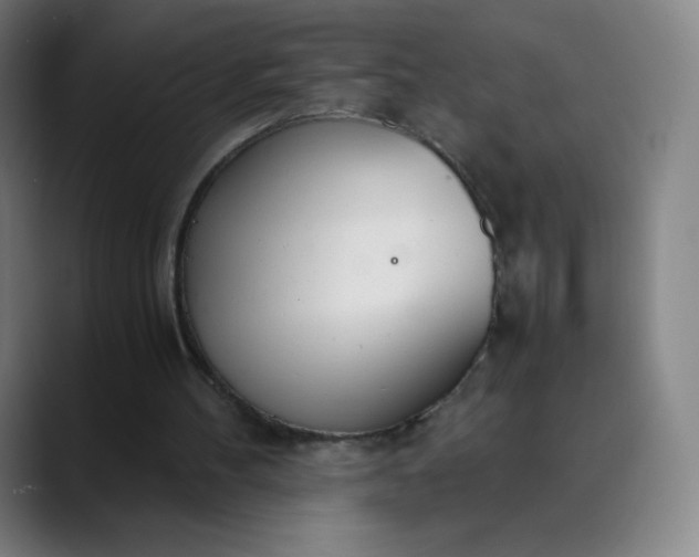 X0000089870100200707121801