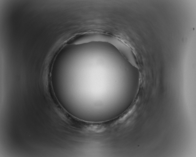 X0000089870101200707121801