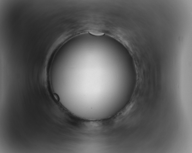 X0000089870102200707121801