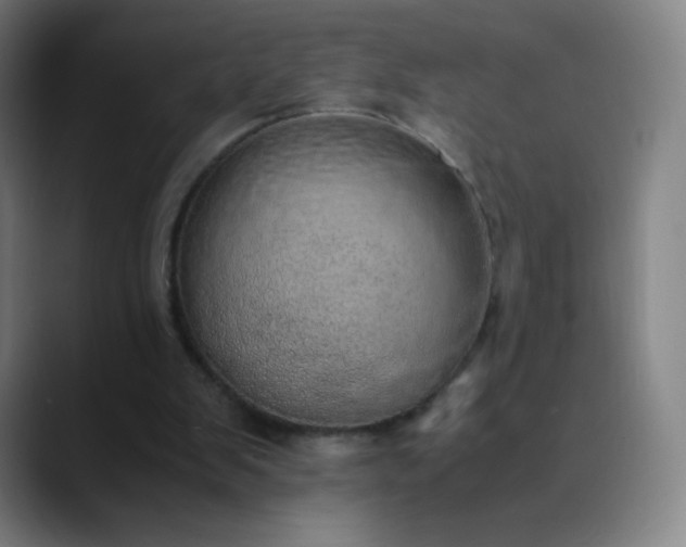 X0000089870103200707121801